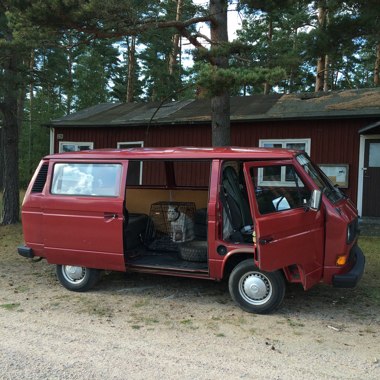 IMG_9765.JPG, 781.91 kb, 1224 x 1224