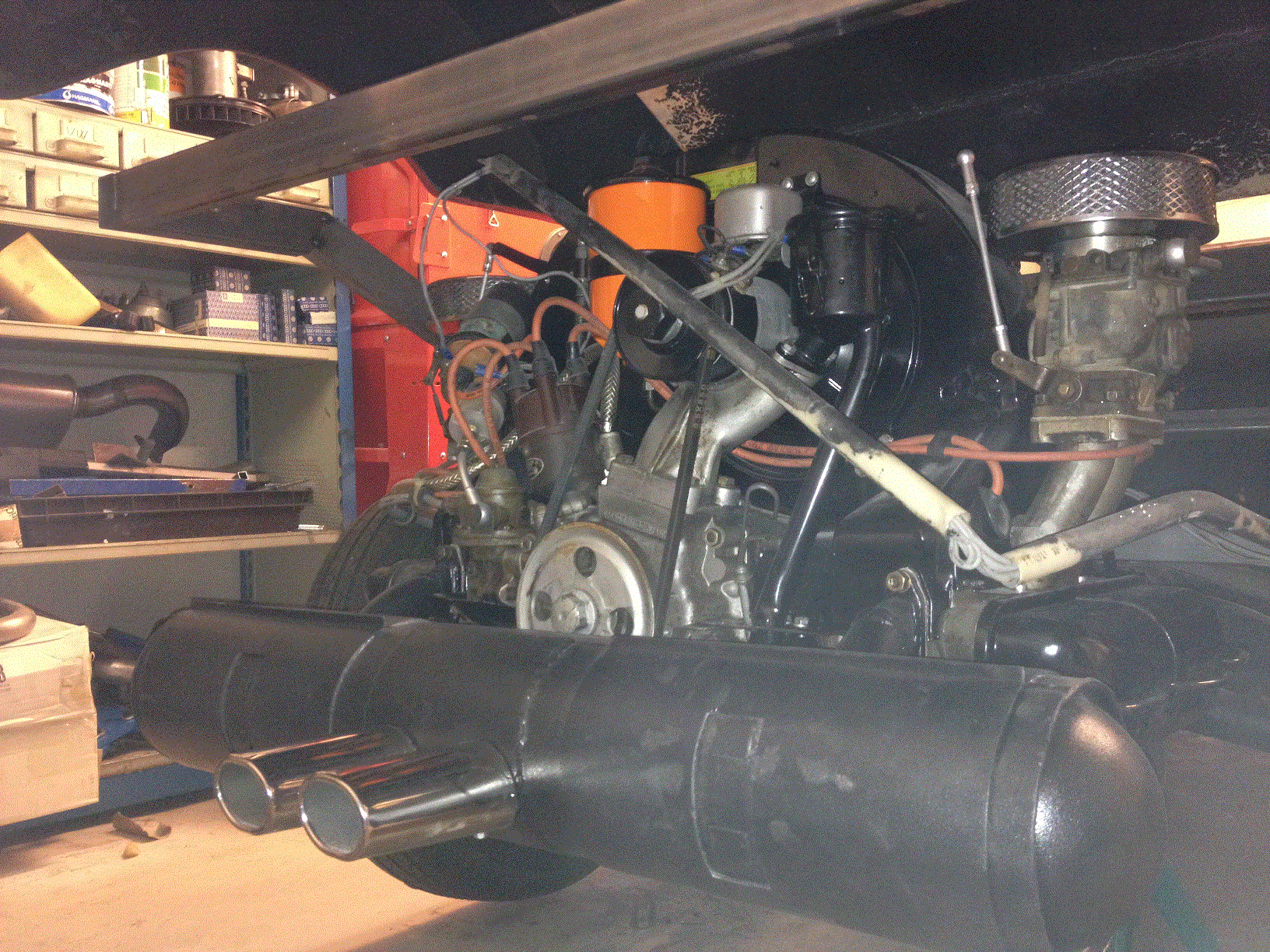 piraya m.gif, 802.13 kb, 1632 x 1224