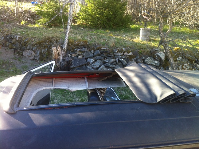 IMG_7137.JPG, 160.61 kb, 648 x 484