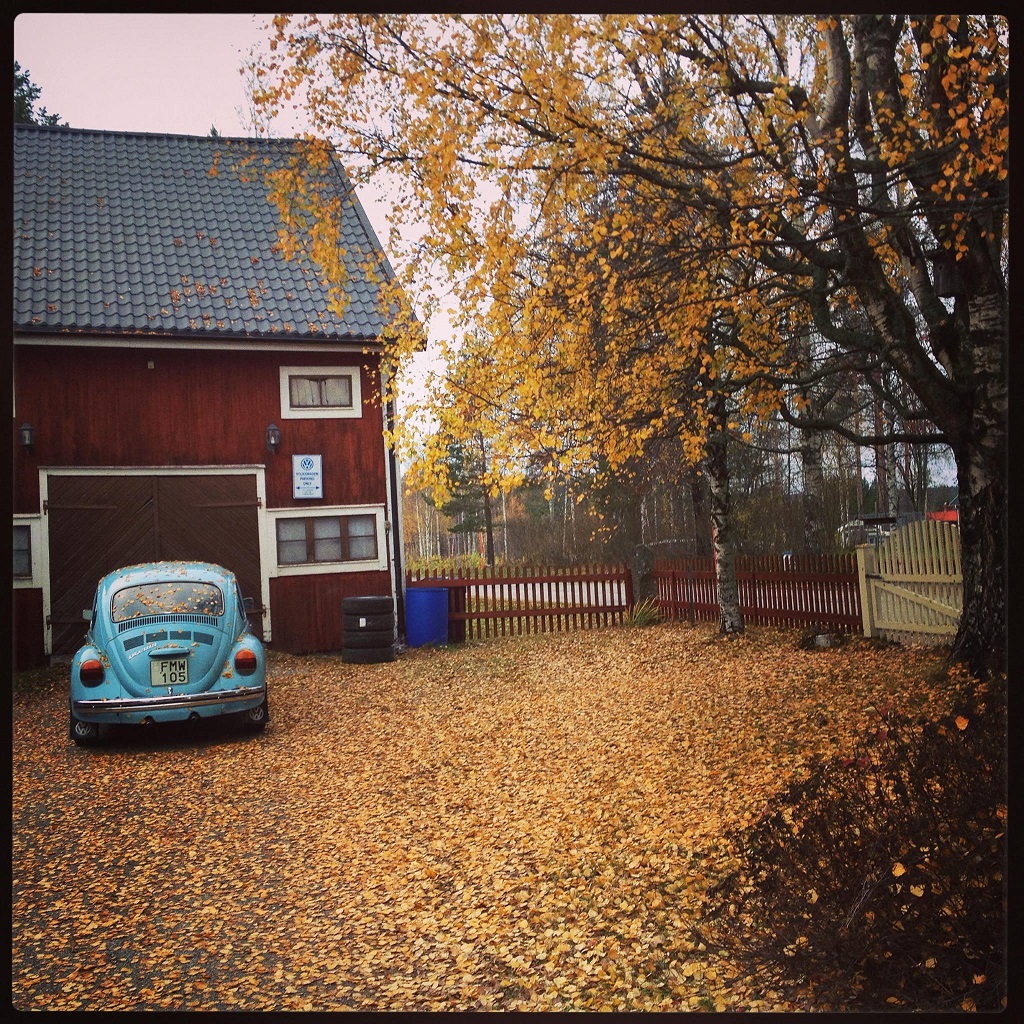 vwhöst.jpg, 660.37 kb, 1024 x 1024