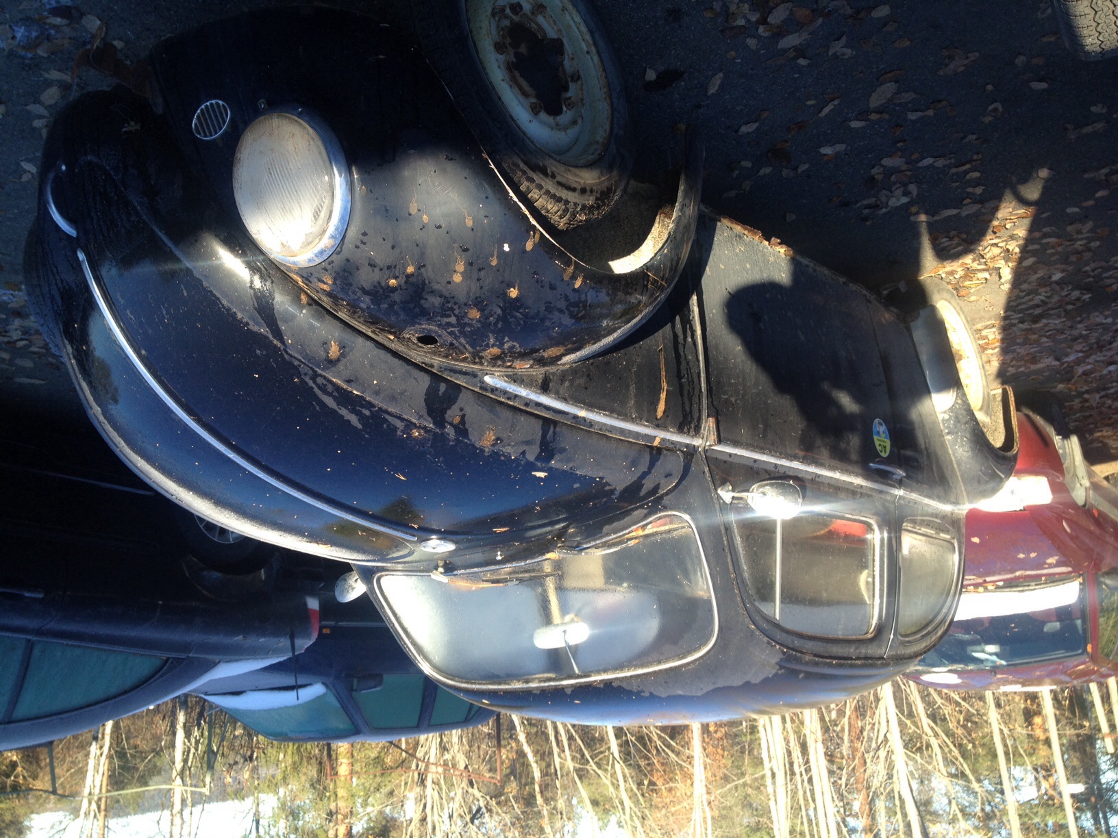 image.jpg, 702.51 kb, 1632 x 1224