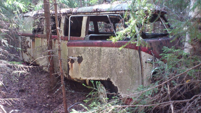 DSC_1441.JPG, 133.83 kb, 800 x 450