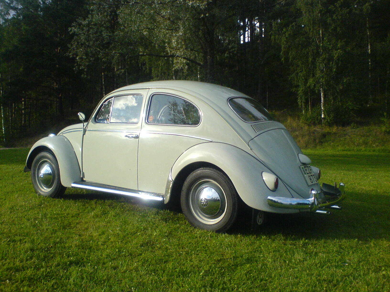 vw60a 001.JPG, 342.44 kb, 1632 x 1224