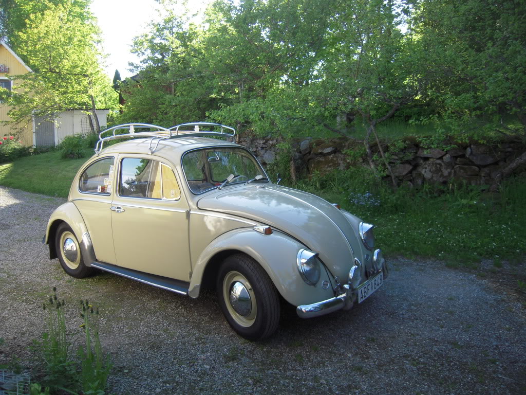 DSCN4571-1.jpg, 237 kb, 1024 x 768