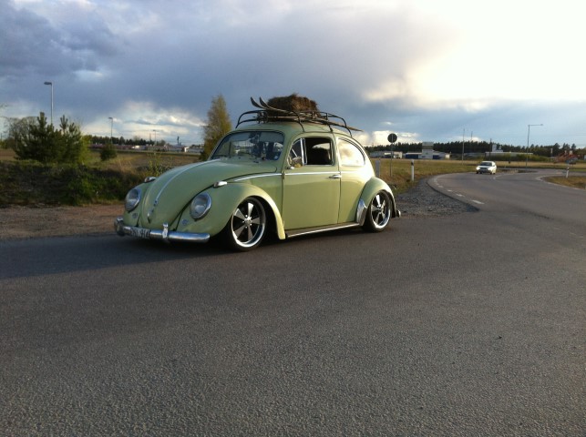 IMG_4351 (Small).JPG, 87.93 kb, 643 x 480