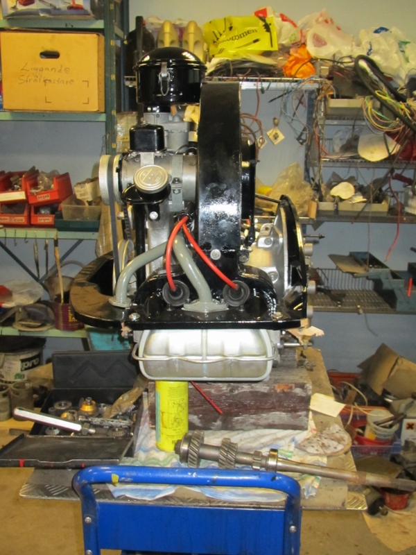 IMG_3954 (600x800).jpg, 288.99 kb, 600 x 800