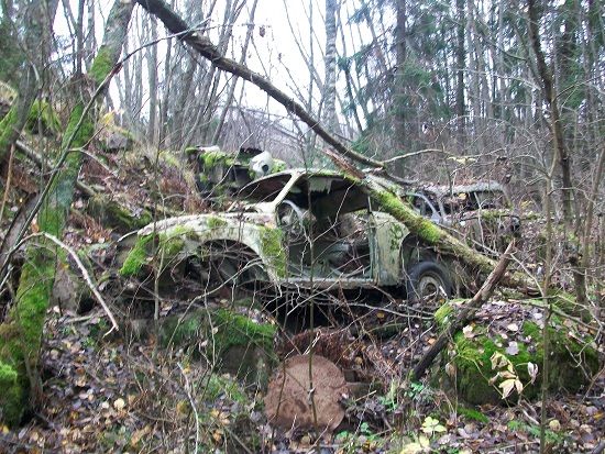 1.JPG, 268.76 kb, 550 x 413