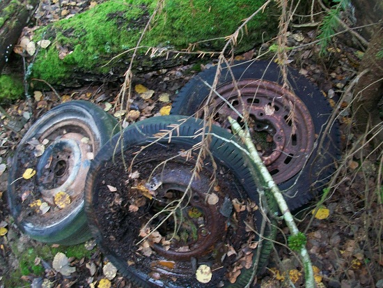 3.JPG, 236.82 kb, 550 x 413