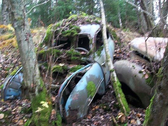 4.JPG, 221.59 kb, 550 x 413