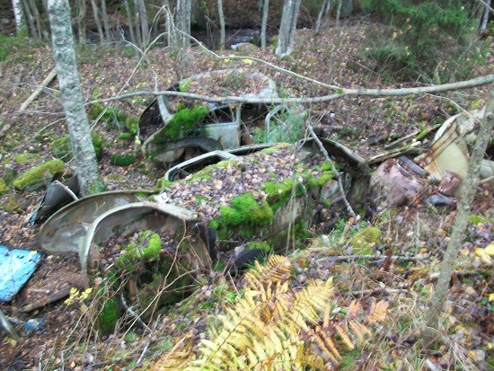 5.JPG, 250.91 kb, 550 x 413