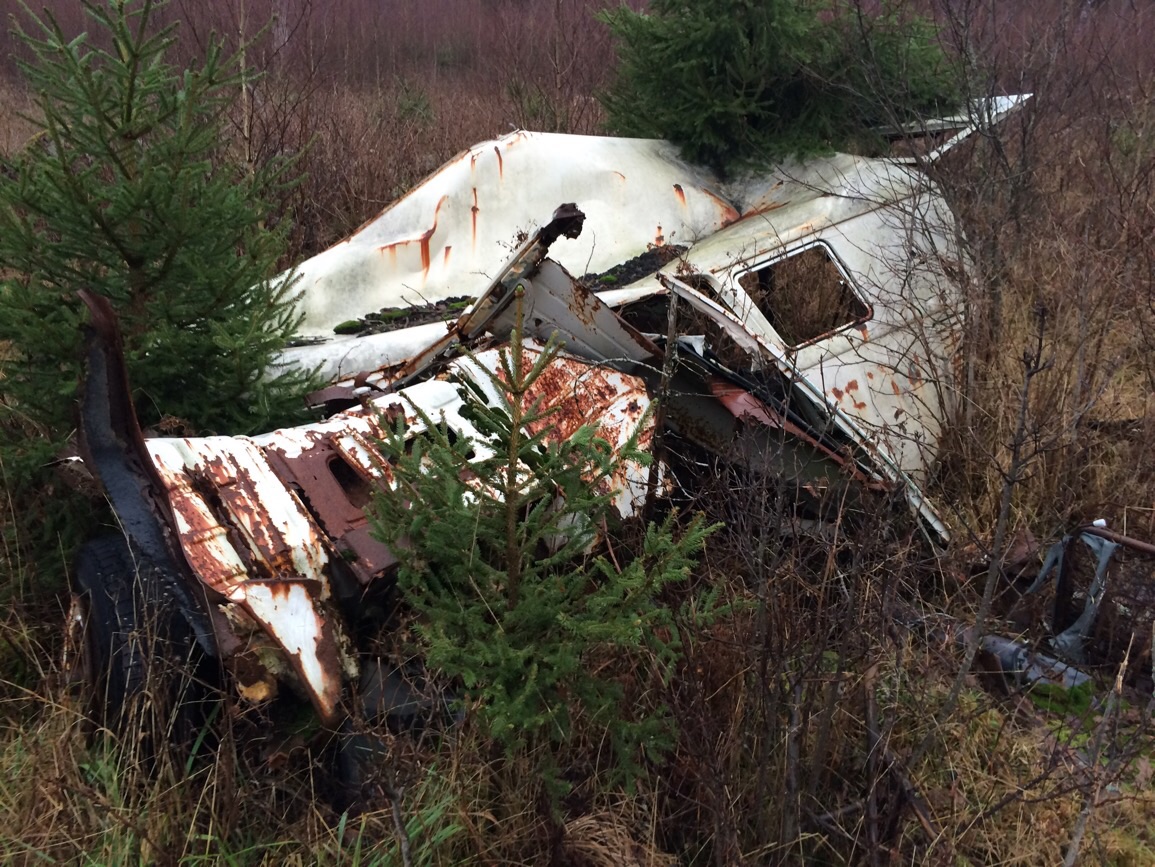 image.jpg, 393.94 kb, 1155 x 867