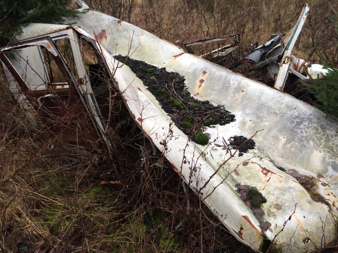 image.jpg, 407.73 kb, 1155 x 867