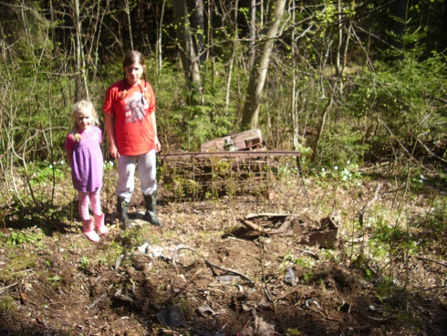 Rester chev -61 Lindrågen - Kopia.JPG, 179.24 kb, 490 x 368