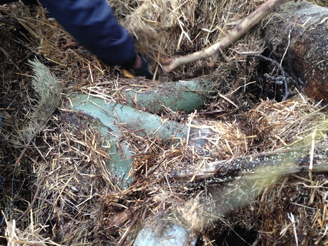 IMG_3160.JPG, 232.43 kb, 653 x 490