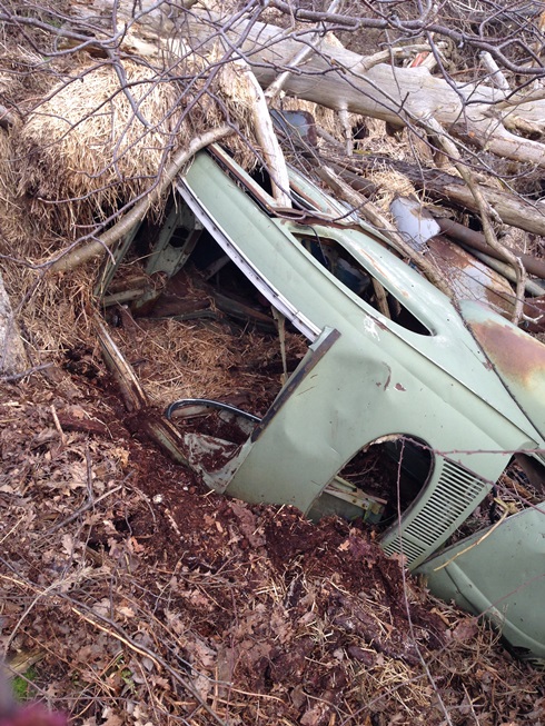 IMG_2235.JPG, 215.34 kb, 490 x 653