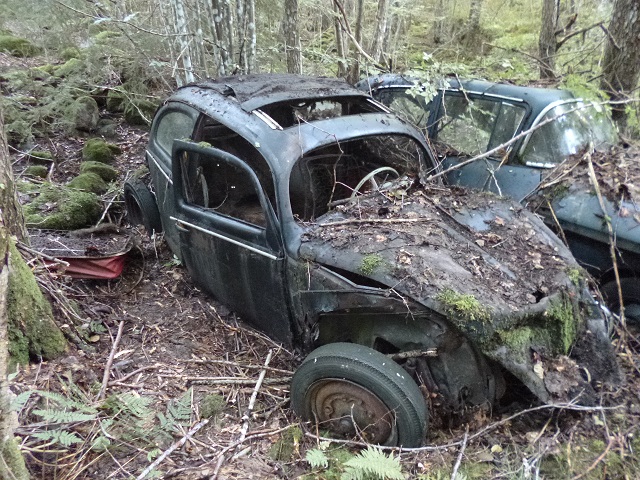 split -52  clara kalas 001.JPG, 220.83 kb, 640 x 480