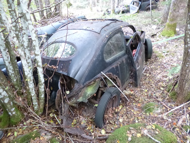 split -52  clara kalas 036.JPG, 208.66 kb, 640 x 480