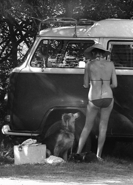 5114727781_e6980921d5_z[1].jpg, 137.92 kb, 459 x 640