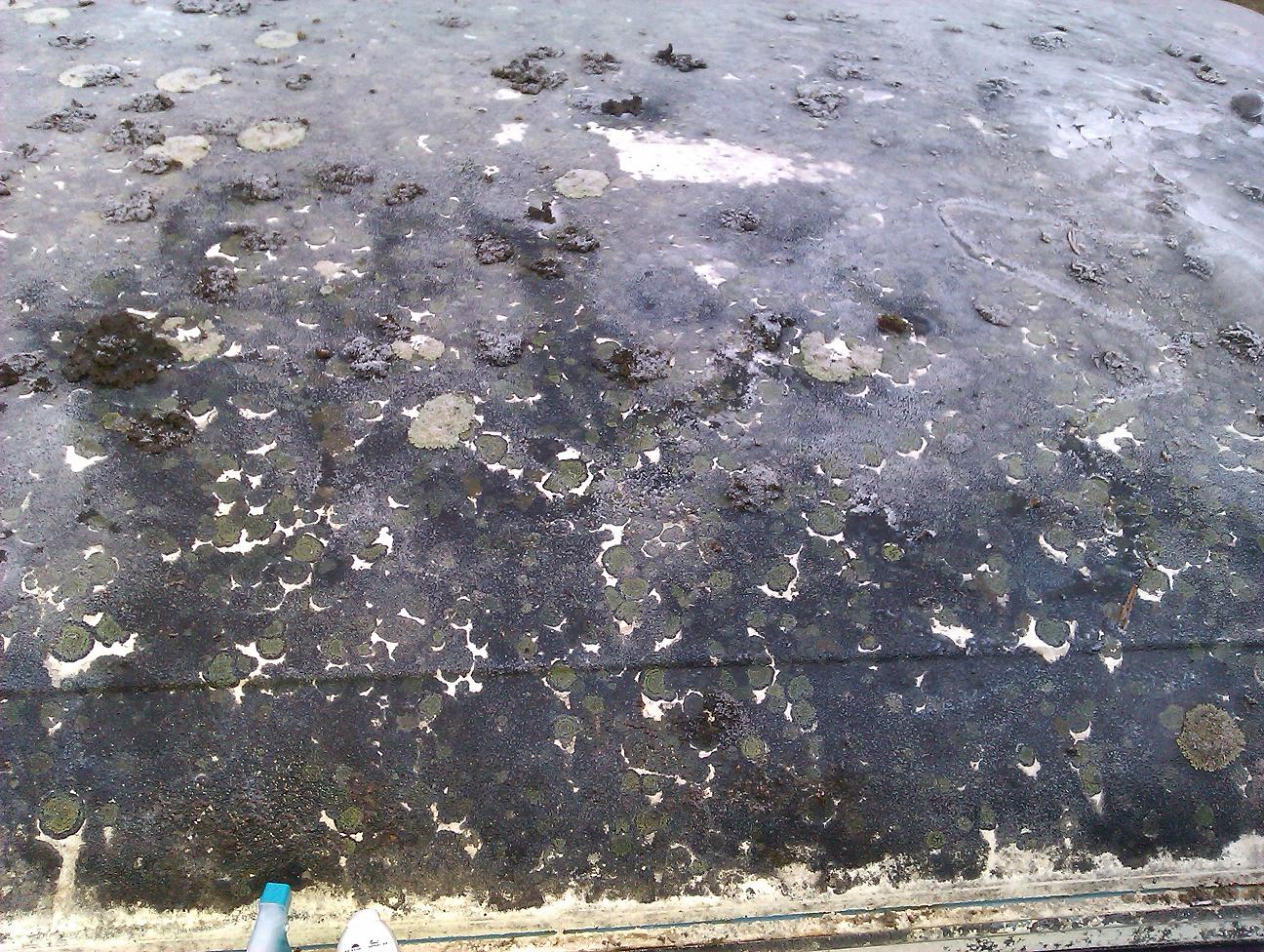 2011-12-03 009 X.JPG, 364.95 kb, 1296 x 976