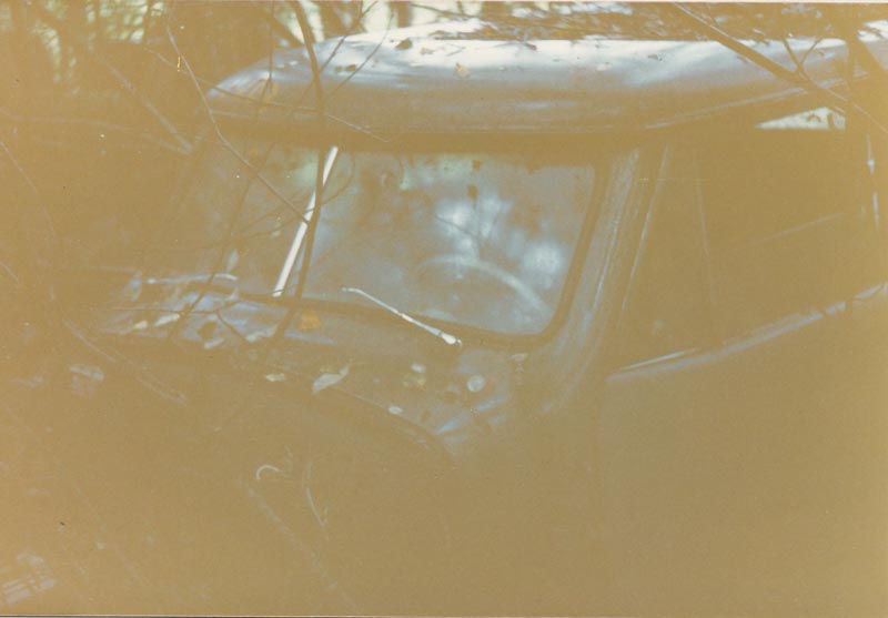 p445sb101(b).jpg, 48.9 kb, 800 x 557