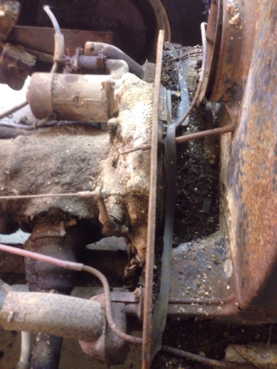 image.jpg, 307 kb, 900 x 1200