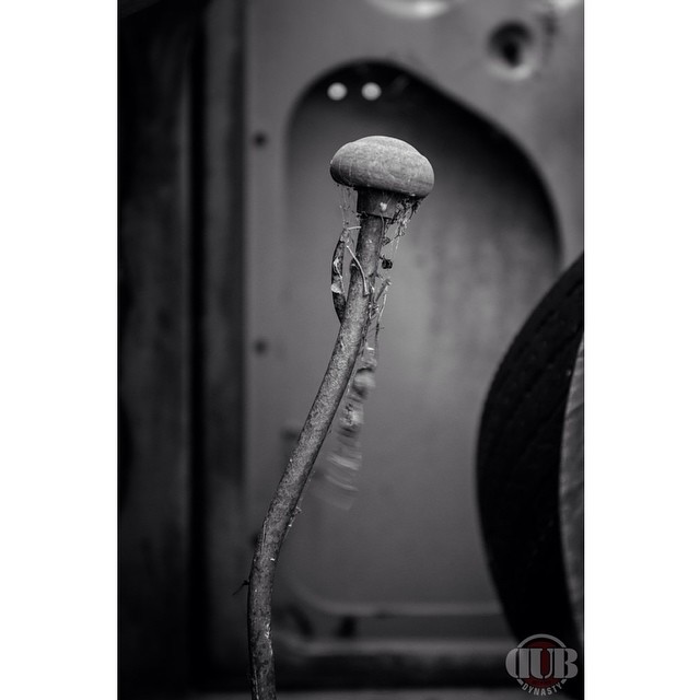 10802451_888375404528169_441689704_n.jpg, 40.4 kb, 640 x 640