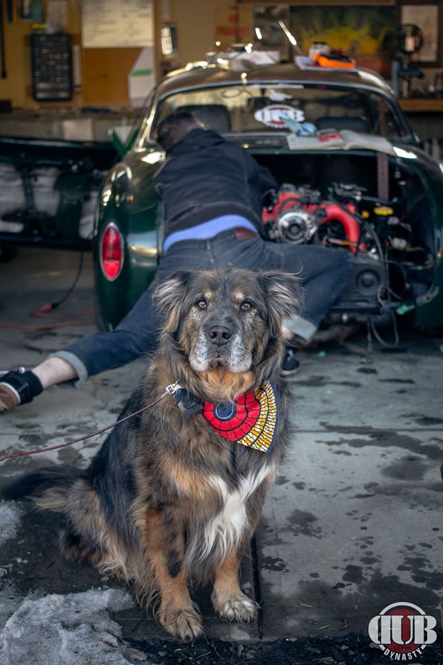 1966344_222699257929697_1161462248929870762_o.jpg, 100.61 kb, 640 x 960