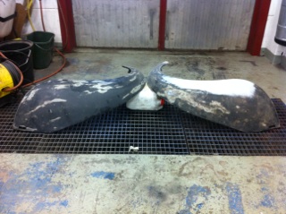 mms_20150113_231616.jpg, 34.98 kb, 320 x 239