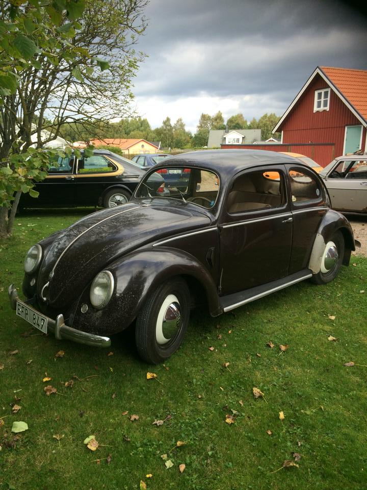 511111.jpg, 128 kb, 720 x 960