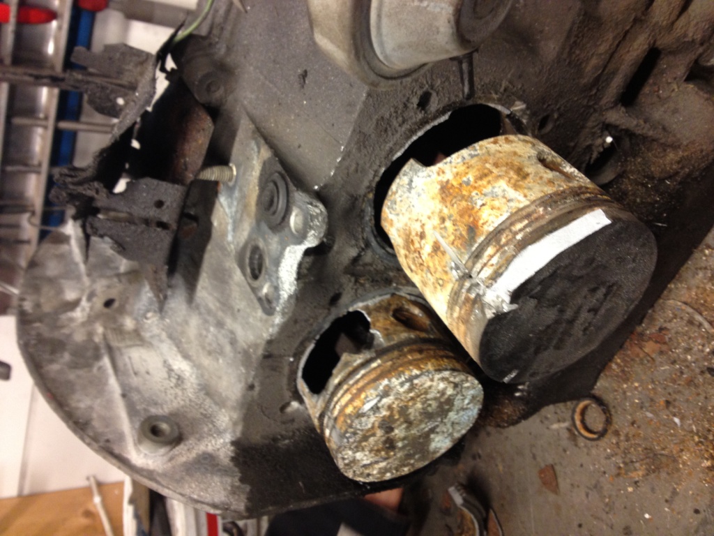 IMG_2607-b.jpg, 257.96 kb, 1024 x 768