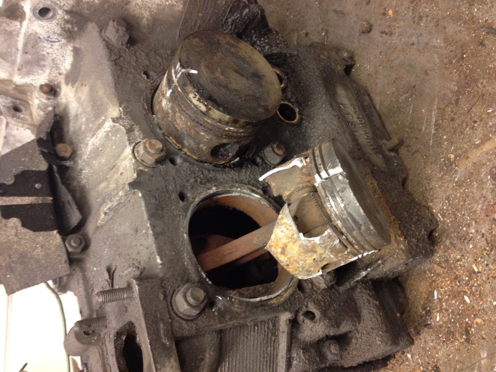 IMG_2608-b.jpg, 315.44 kb, 1024 x 768