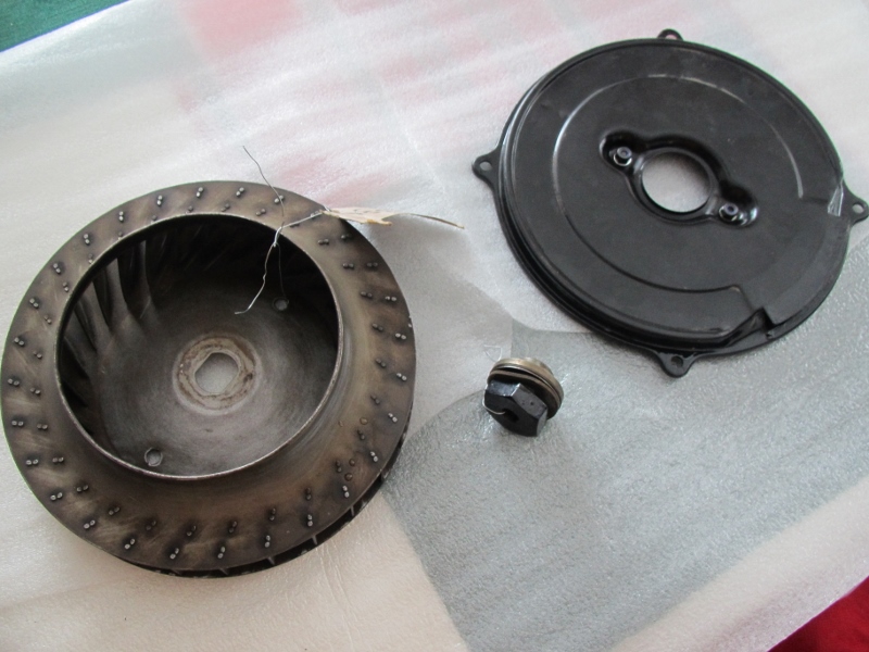 IMG_4440 (800x600).jpg, 236.24 kb, 800 x 600