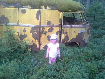 januari 2015 482.jpg, 30.95 kb, 341 x 256