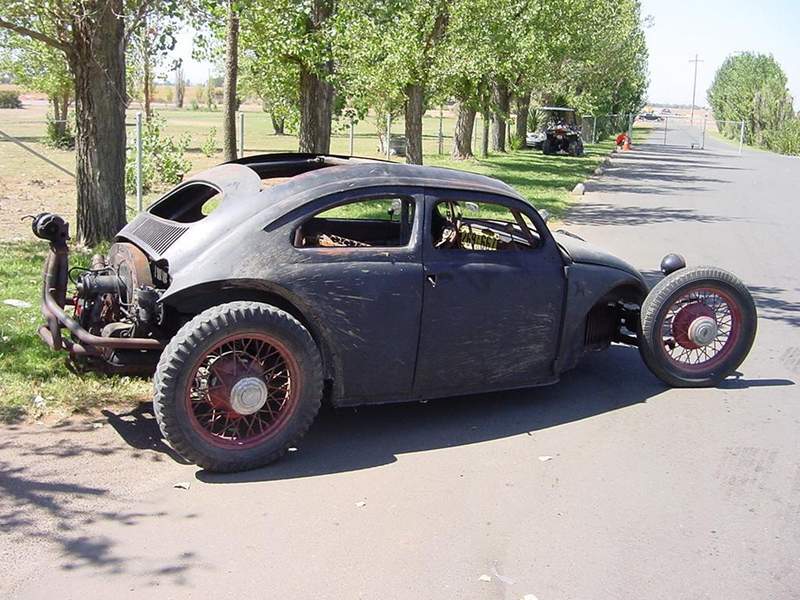 Rat+VW1159204673.jpg, 90.56 kb, 800 x 600