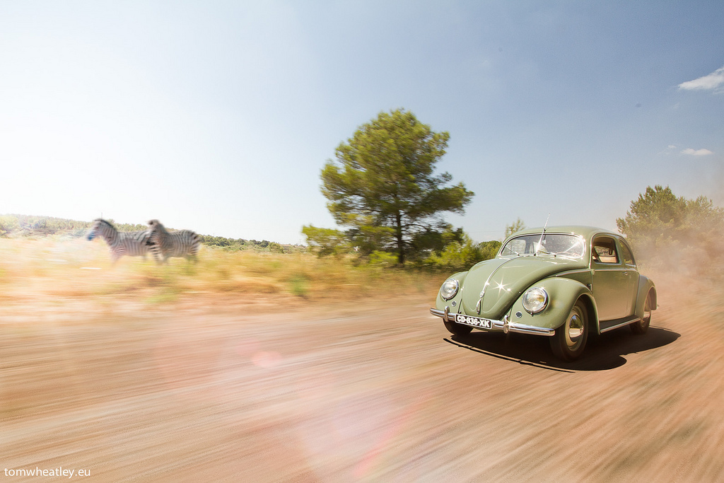 9339797777_4e26980a52_b.jpg, 277.39 kb, 1024 x 683