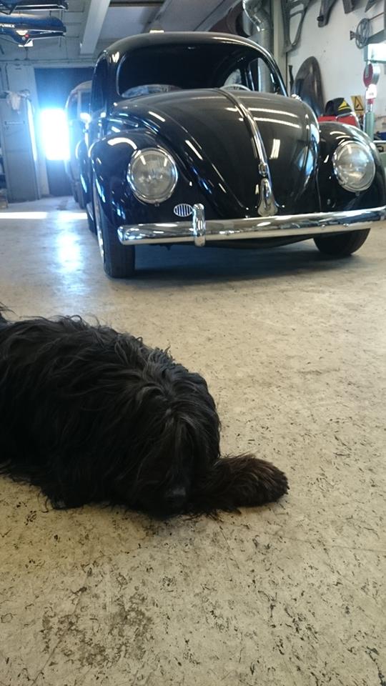 11025740_10202631628030338_6915714144425339958_n.jpg, 82.7 kb, 540 x 960