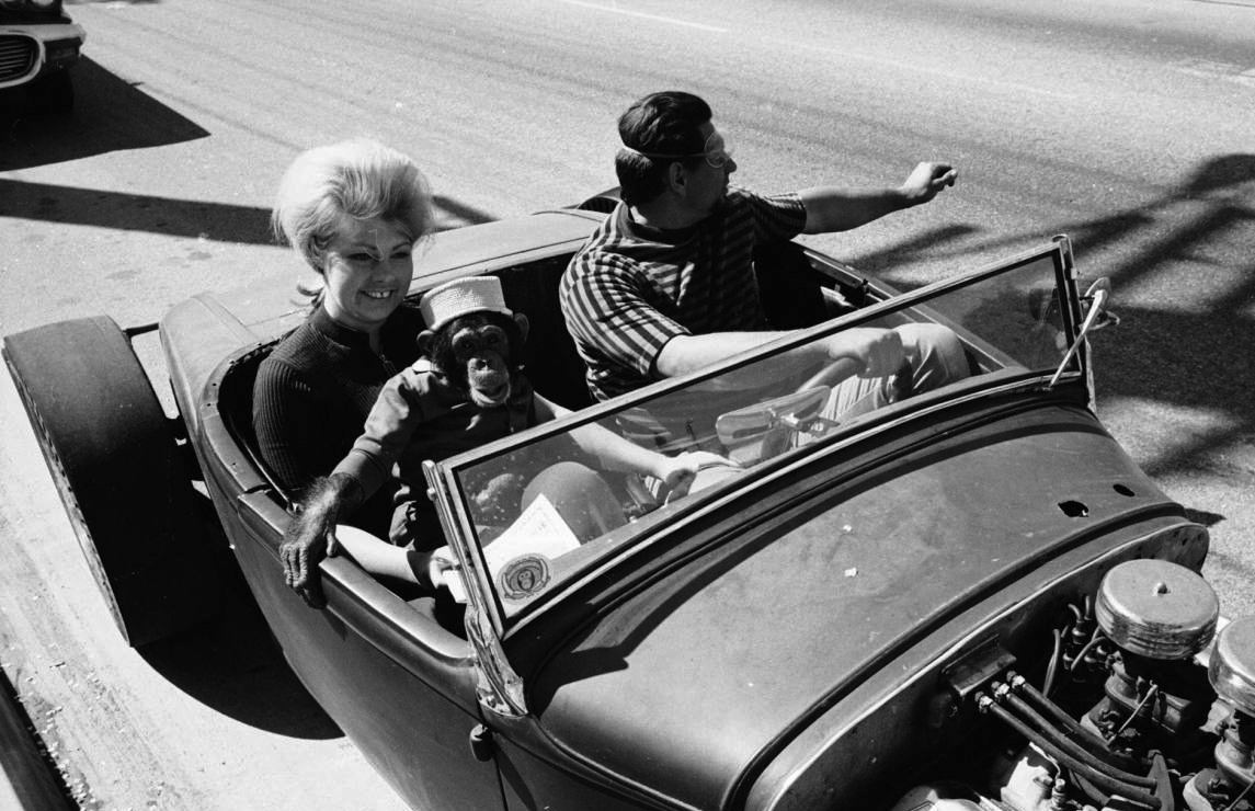 munky.jpg, 277.55 kb, 1145 x 740