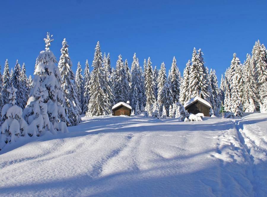 1978629_703994716374426_1362179169741921279_n.jpg, 100.92 kb, 900 x 664