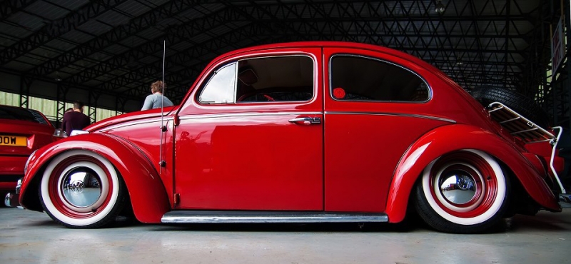 100440867.jpg, 214.3 kb, 800 x 370