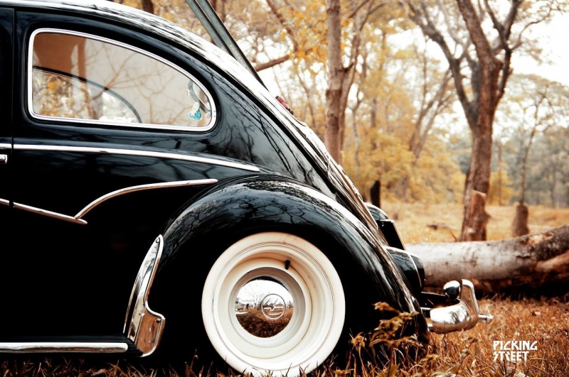 1204900280.jpg, 354.01 kb, 800 x 531