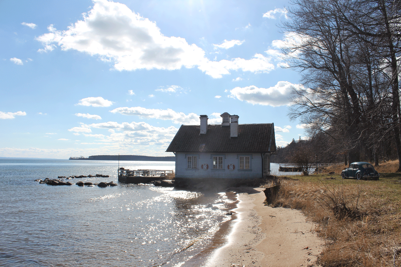 x.png, 609 kb, 1296 x 864