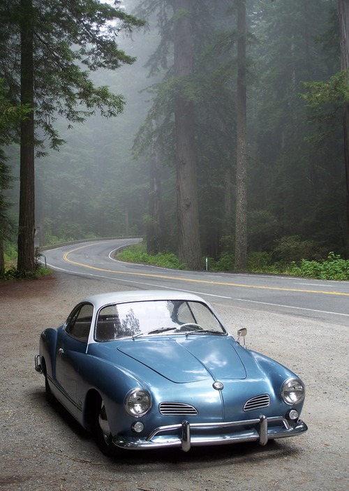 3218060043.jpg, 222.64 kb, 500 x 703