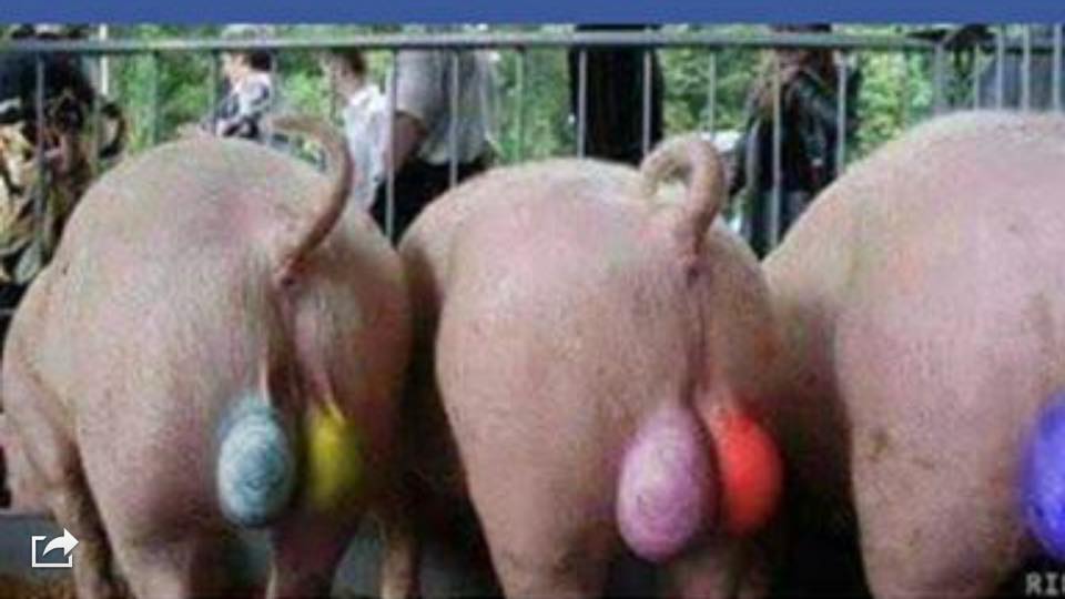 Happy easter.jpg, 45.44 kb, 960 x 540