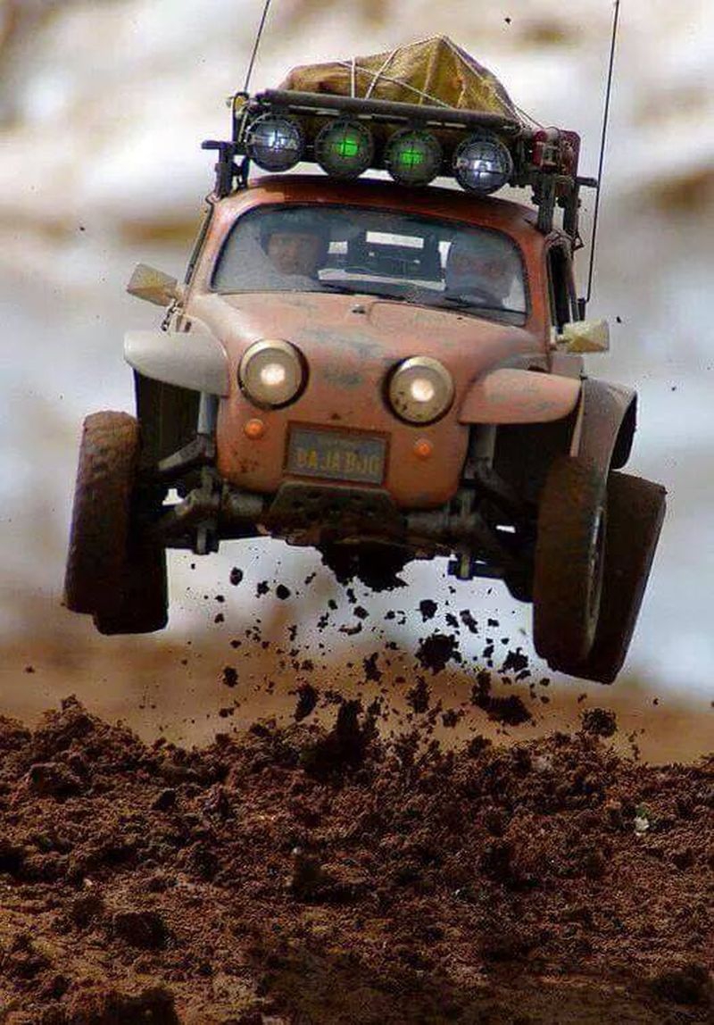 10177421_10204125632403612_4498341066764476800_n.jpg, 442.11 kb, 800 x 1148