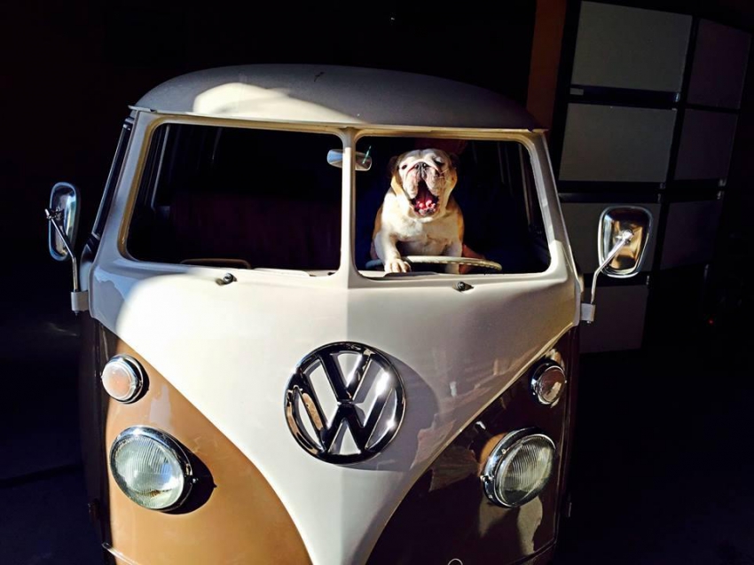 1292842.jpg, 240.64 kb, 850 x 637