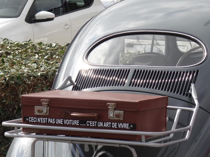 3861793158.jpg, 318.69 kb, 800 x 600