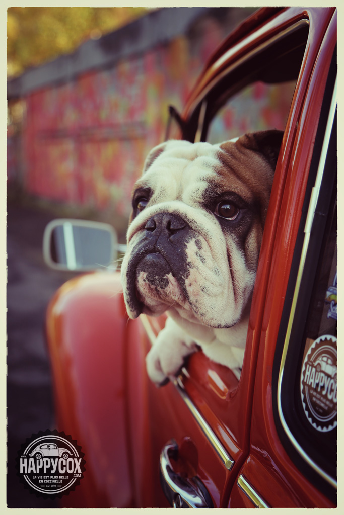 helmut.jpg, 196.23 kb, 683 x 1024