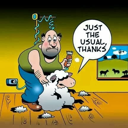 IMG_9348.JPG, 40.83 kb, 432 x 430