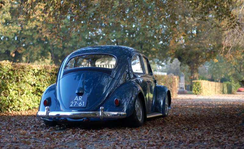 6200223449_ca63ff6383_b.2.jpg, 413.81 kb, 800 x 489