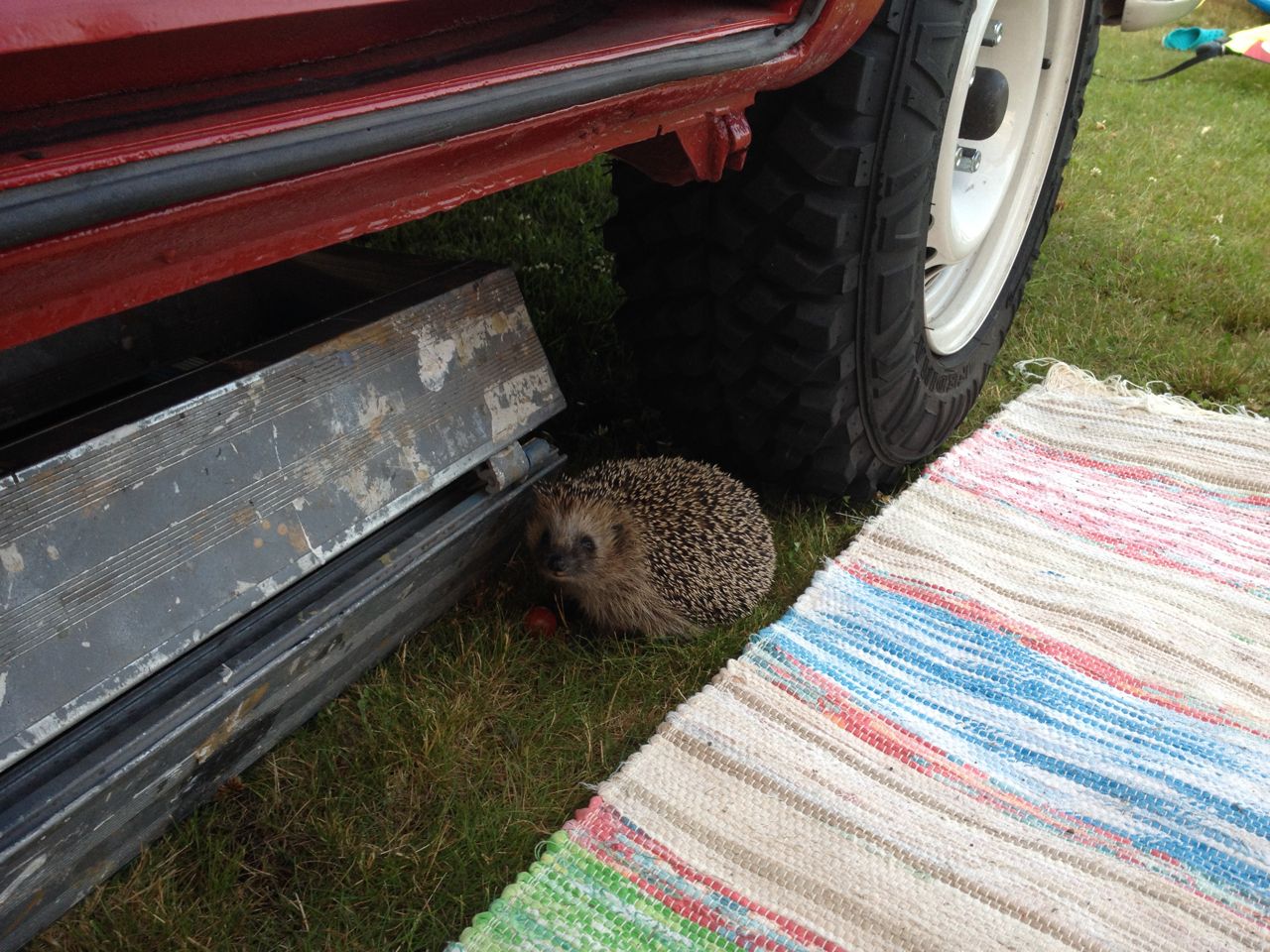 IMG_2757.jpg, 254.1 kb, 1280 x 960